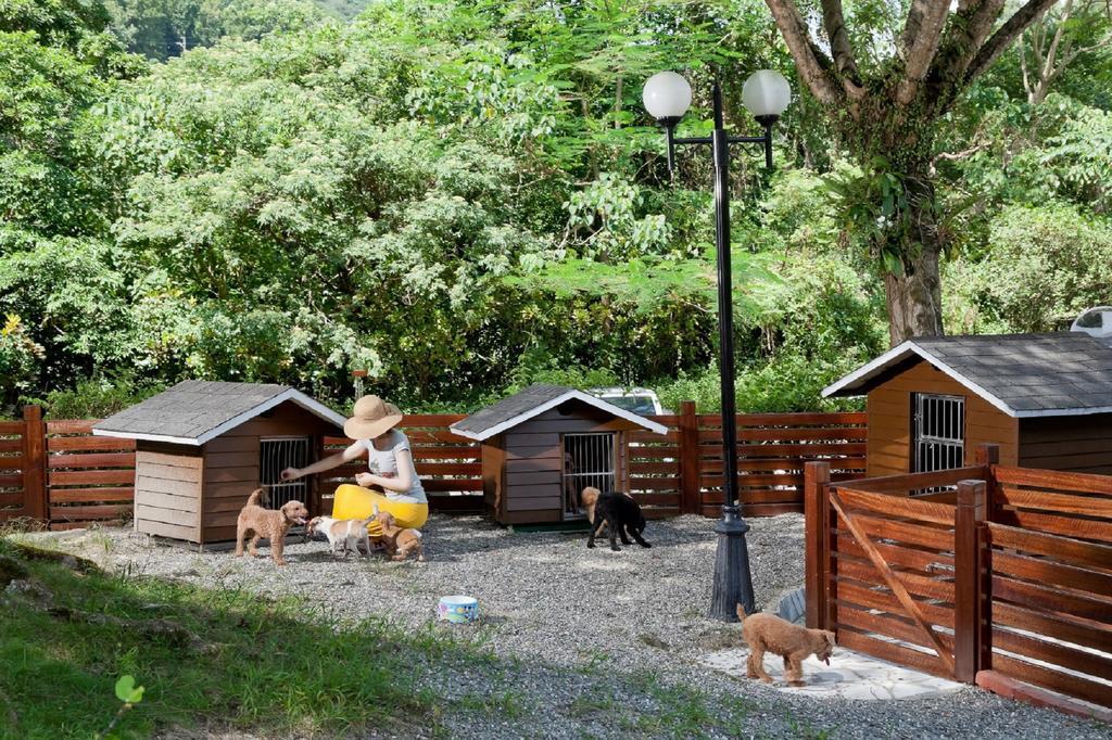 Hotel Royal Chihpin Wenquan Zewnętrze zdjęcie A dog hotel in the United States